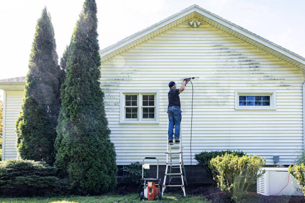 Roanoke, AL Pressure Washing Services Company